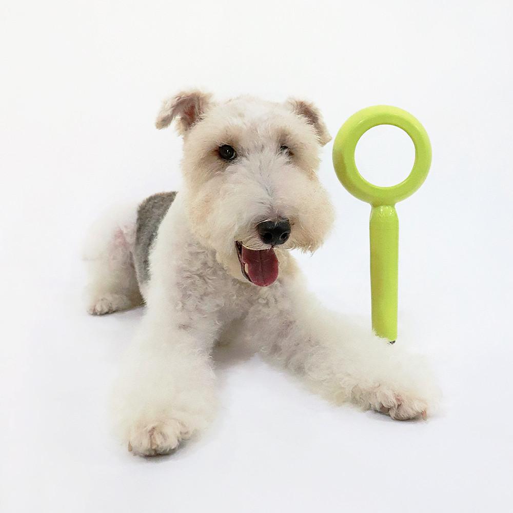 [넌내] 강아지 샤워기 발 전용 필터 샤워기