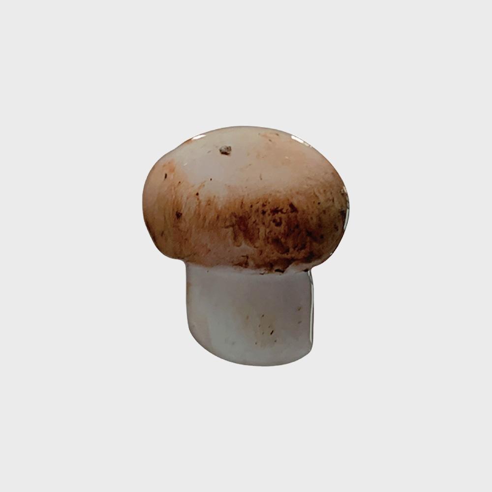 mushroom griptok