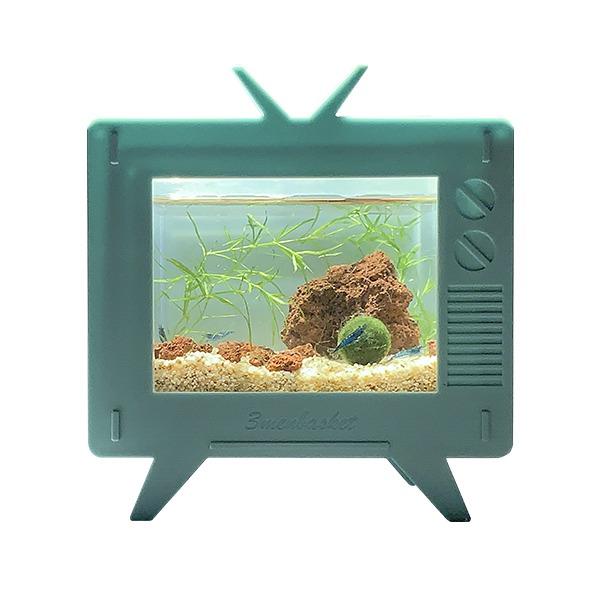 블루벨벳 새우와 마리모 키우기 DIY세트