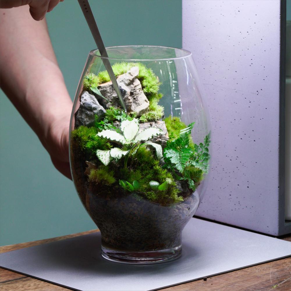 항아리 유리병 이끼 식물 테라리움 유리제품 보틀리움