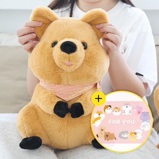 '쿼여워~' 키키쿼카 리얼사이즈 쿼카 인형 40cm (+메세지카드) 귀여운선물 친구선물