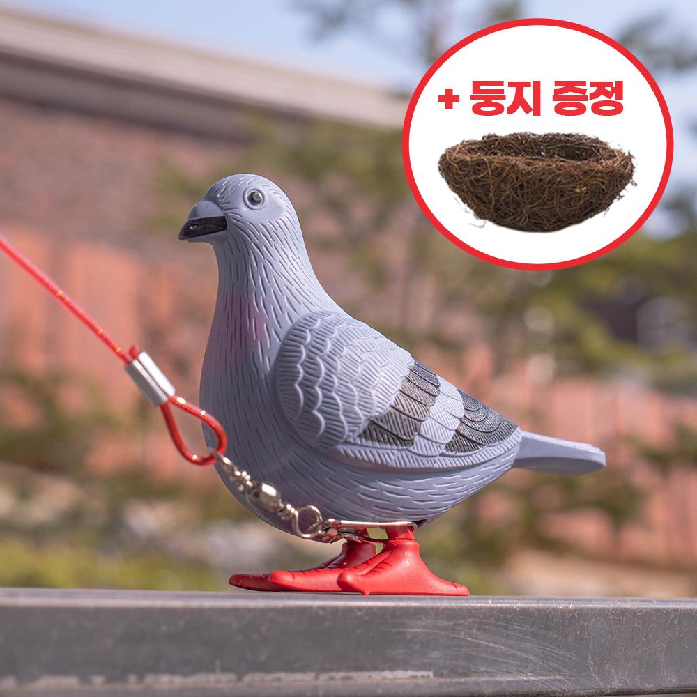 나만의 반려 비둘기 세트 (비둘기+산책줄+둥지) 쓸모없는 선물 쓸데없는 웃긴 신박한 친구