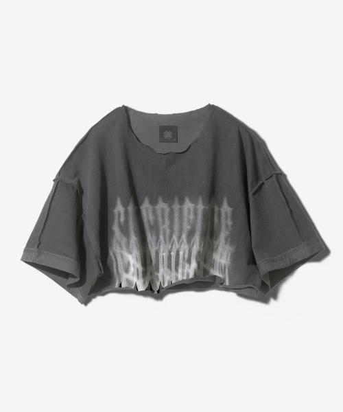 CHAOS LETTERING RAW EDGE CROP SHORT SLEEVE - PIGMENT BLACK