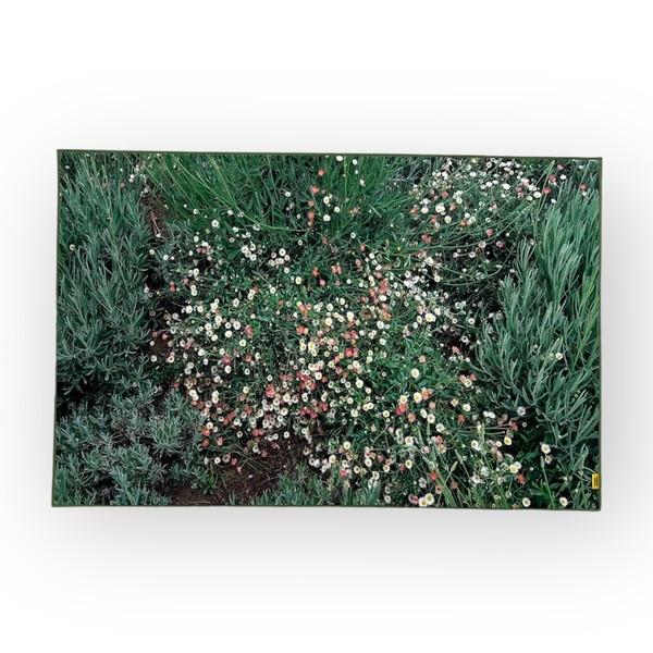[1/19 순차배송]Flower garden, landscape rug