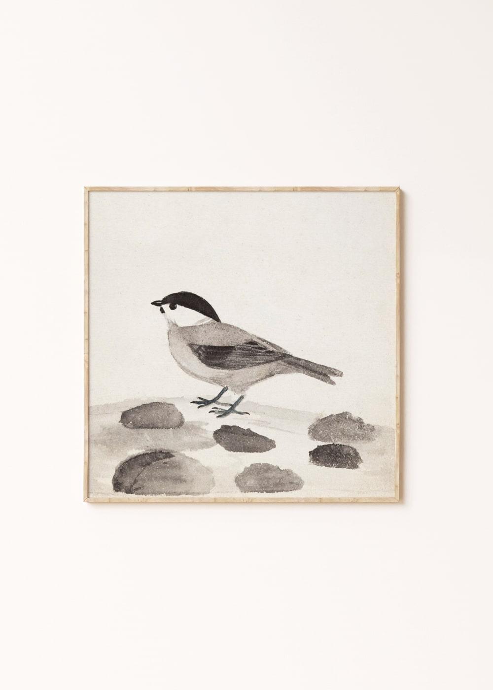 작고 귀여운 북방쇠박새