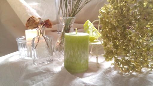 🌳7월의 숲: 싱그러운 여름