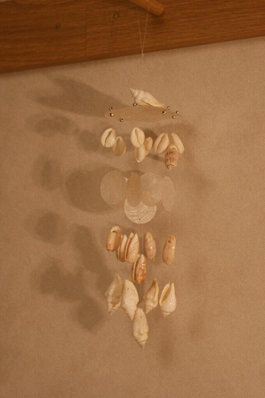 MINI NATURAL SHELL MOBILE