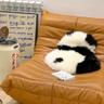 Cute Panda Rug 귀여운 극세사 부드러운 판다 러그