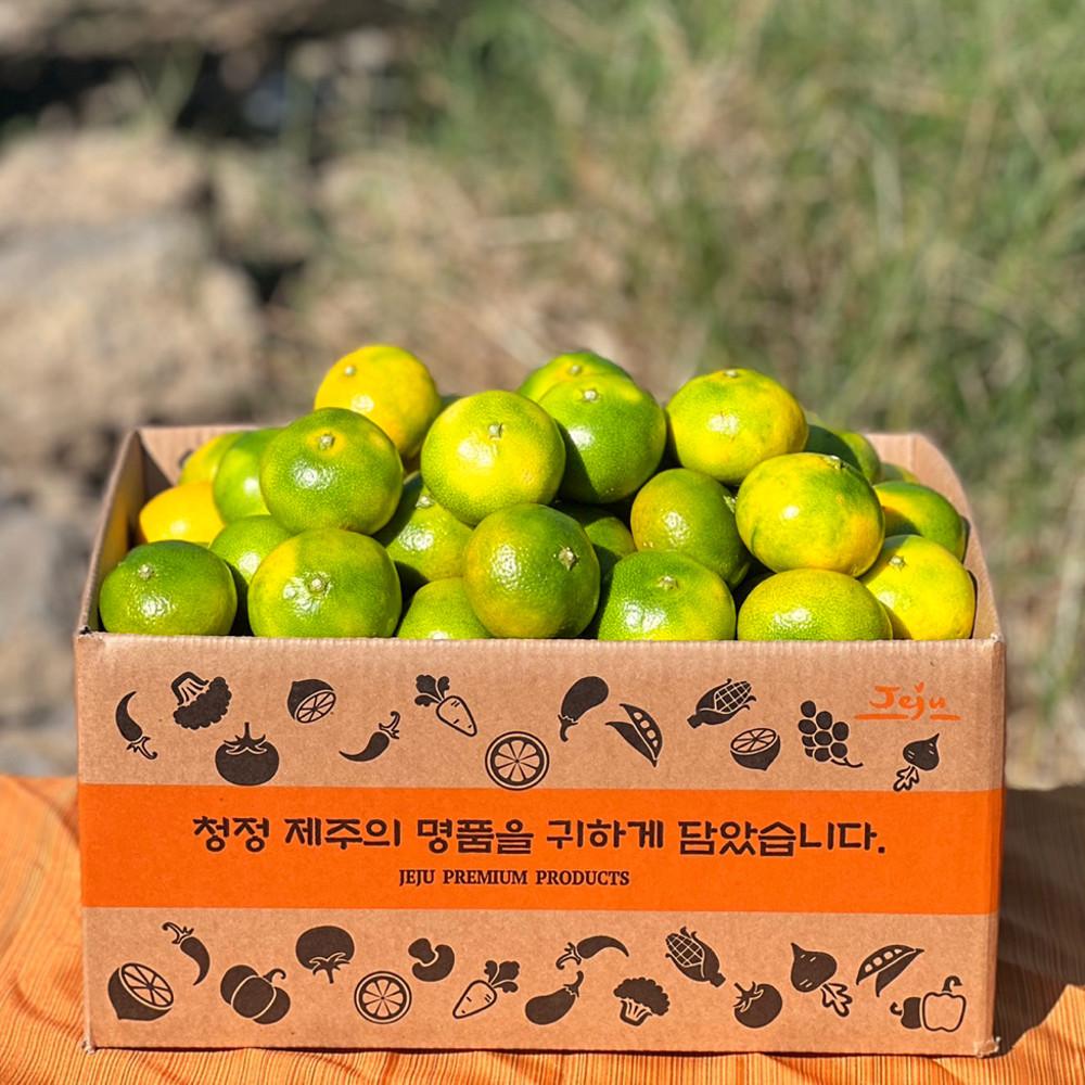 식식한상 제주 극조생 노지감귤 황금향 4.5kg