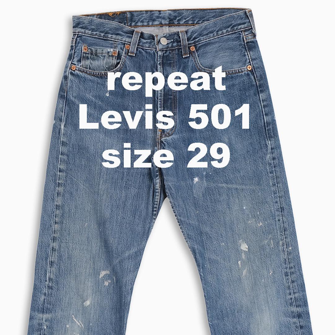 Levis 501 29 size(LV50132162)