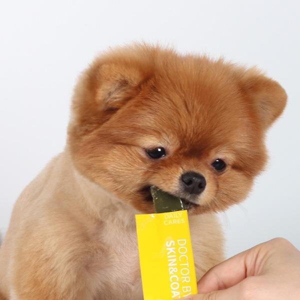 닥터바이 스킨앤코트 강아지 피부병 아토피 피부염 영양제