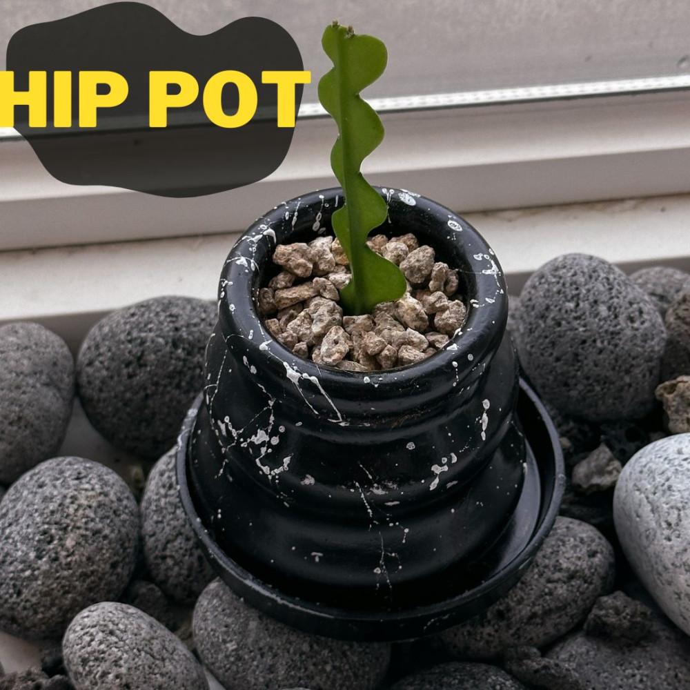 힙팟 플랜테리어 화분 블랙팟 식물 인테리어소품