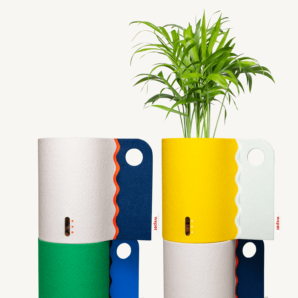 반수경재배 분갈이키트 레이어드 컬러 M