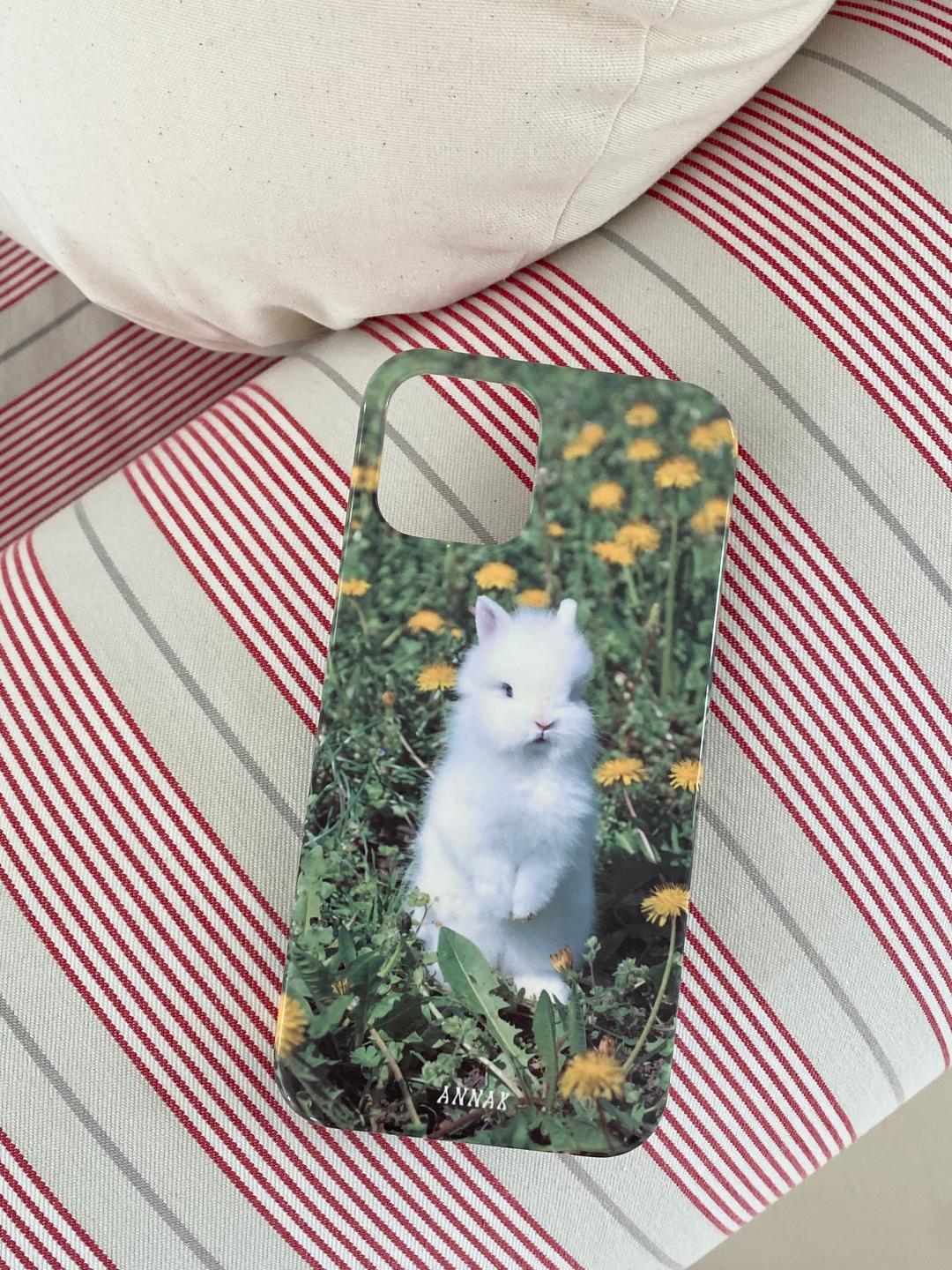 my little dendalion hard case