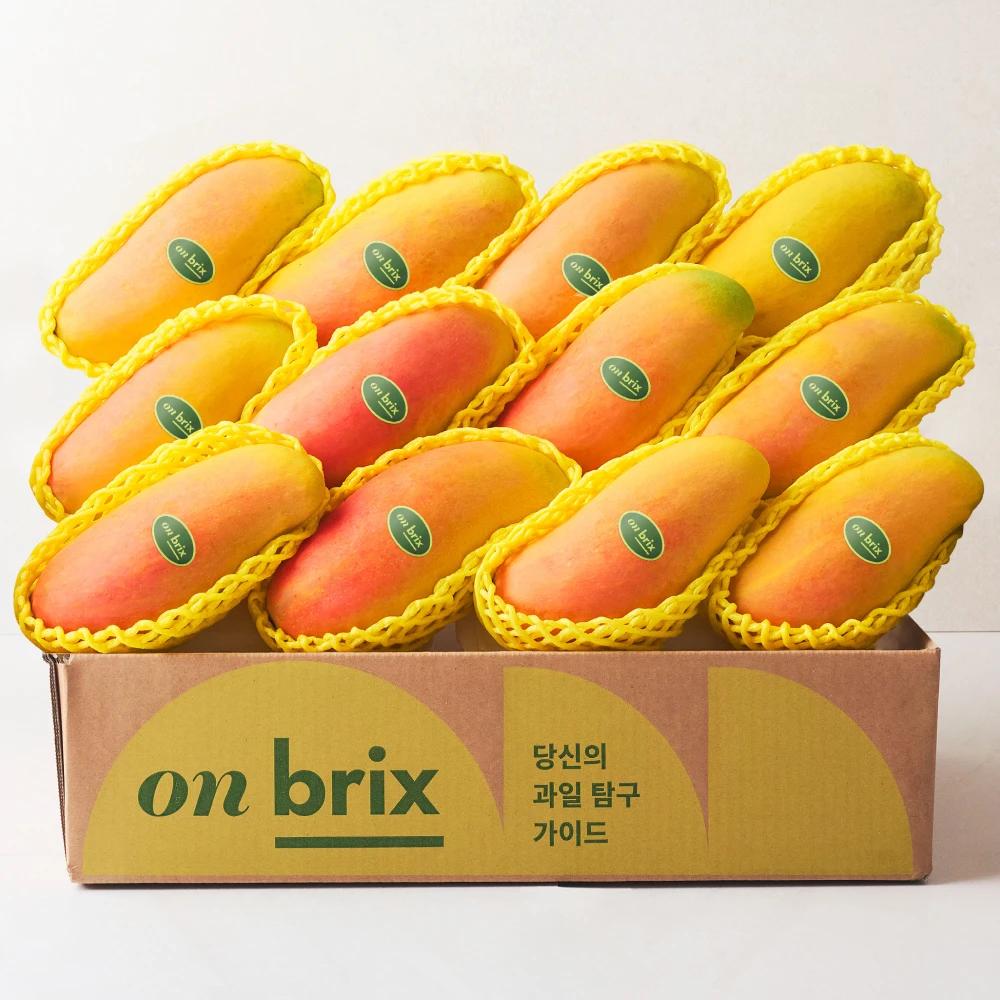 [넥스트브릭스] 항공직송 망고 마하차녹 골드망고 애플망고 모음