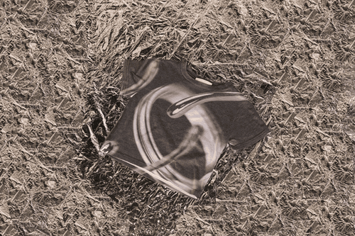 Sliver T Crop | Mysite