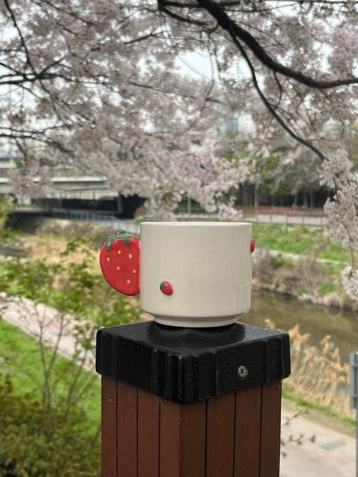 상큼 상큼 딸기컵