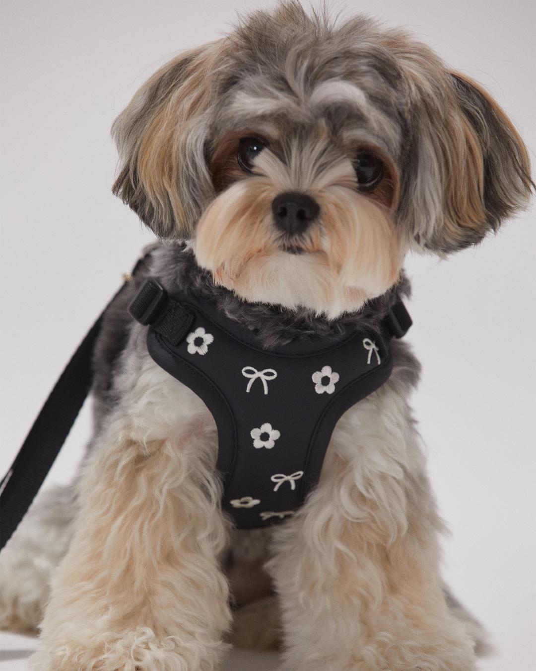 Petals of snowy cushioning harness (Black)