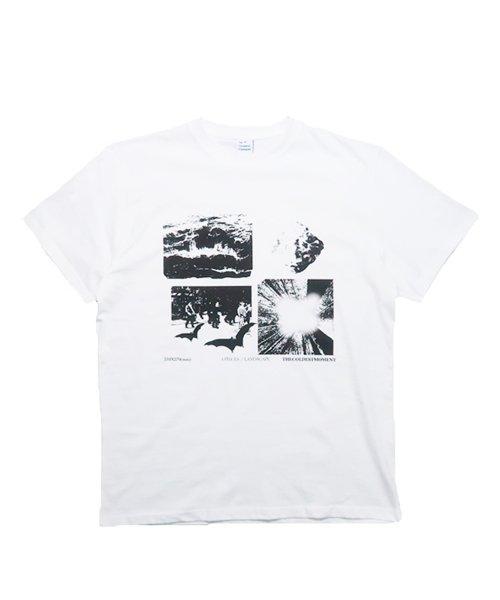 TCM landscape T