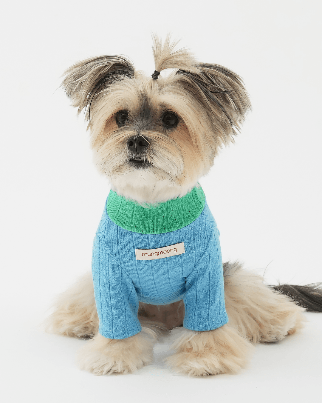 [mungmoong] 컬러 미 니트 풀오버 블루