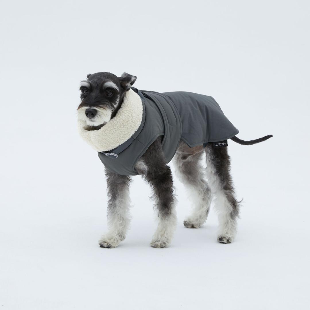 강아지 패딩 코트 Di Michele - 스칼라 차콜