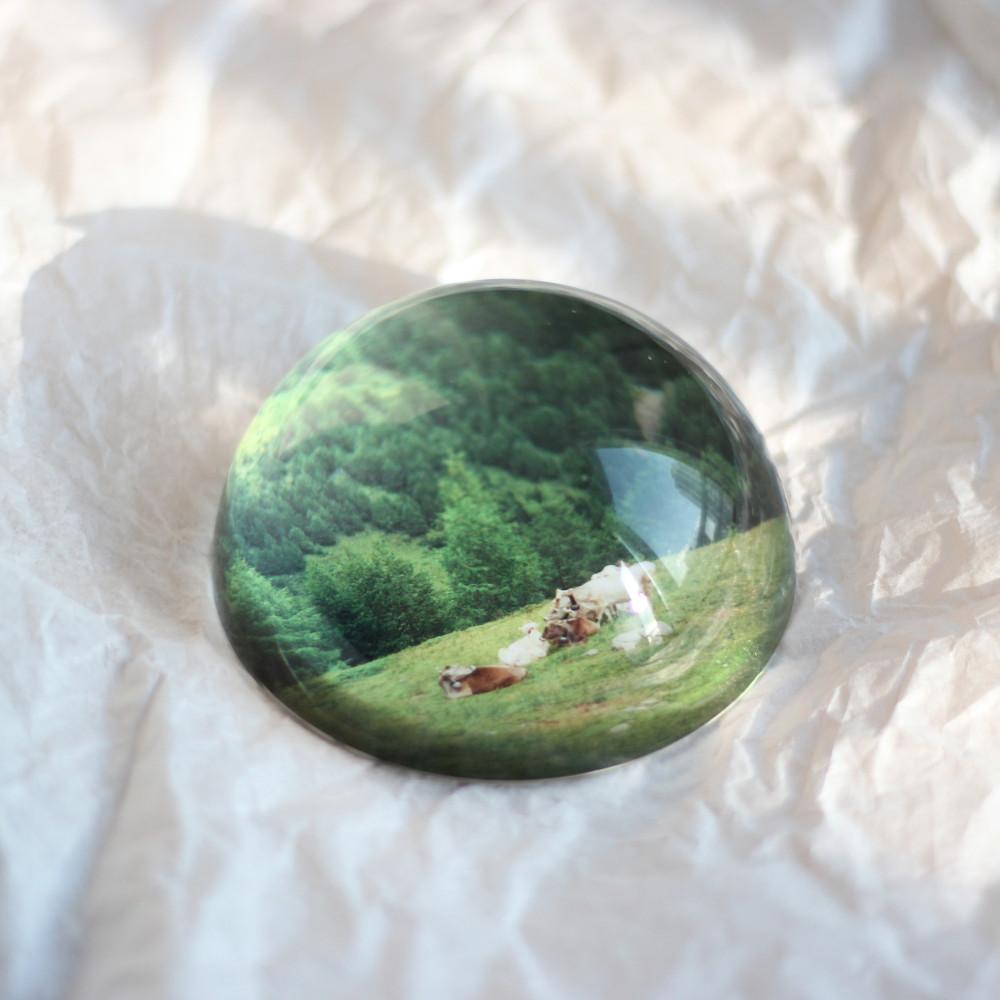 [원페이지] 크리스탈 문진 _ 애니멀