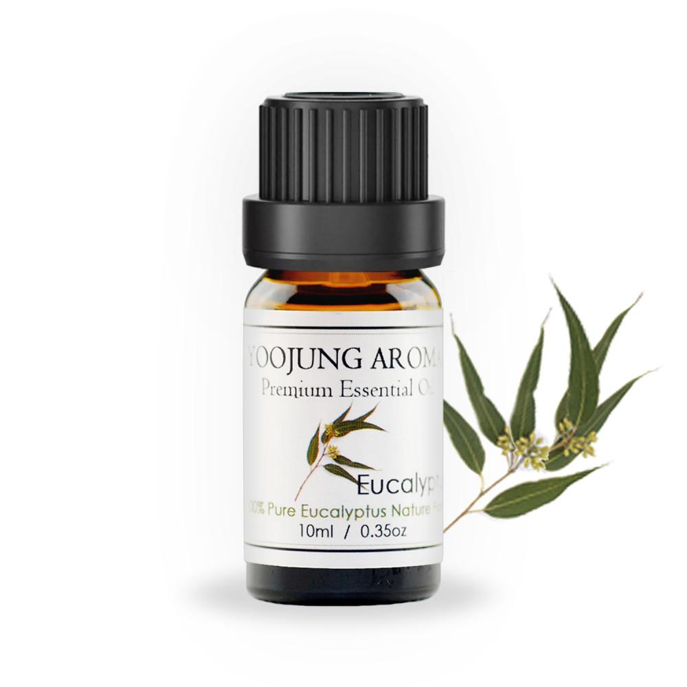 유정 아로마 천연 에센셜 오일 유칼립투스 10ml 아로마테라피