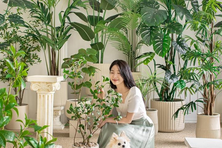 [오늘의딜]리얼퀄리티 핸드메이드 조화나무 13종 모음전