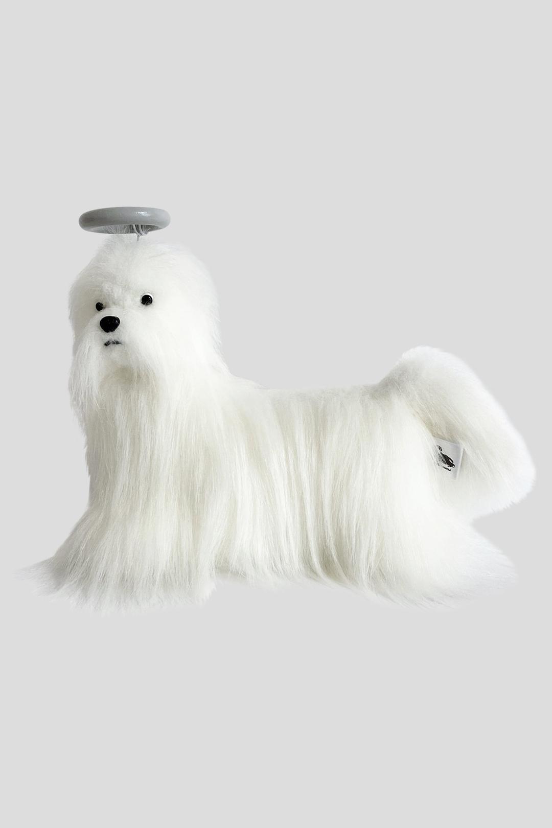 angel maltese