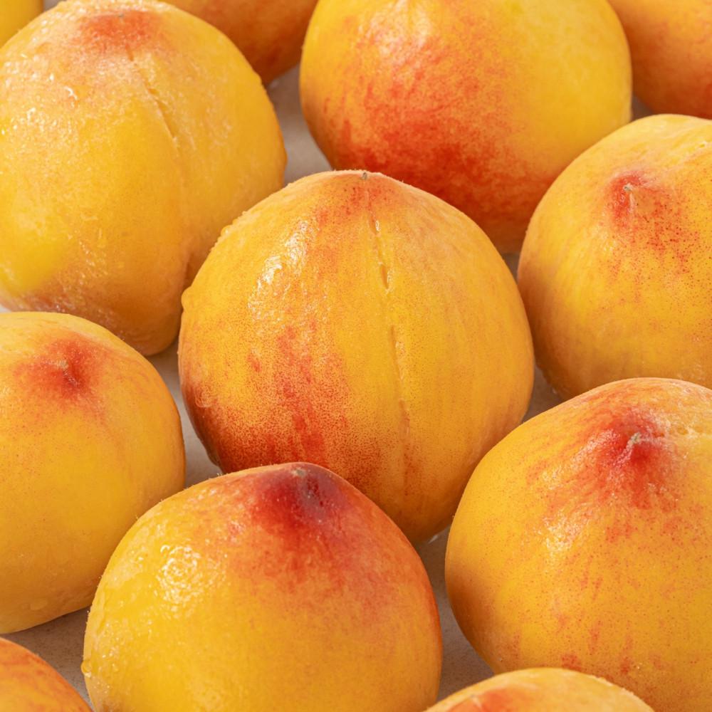 프리미엄 망고맛 신비복숭아 황도 백도 대극천 제철과일