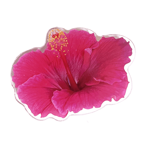 (summerdreamer)  Pink Hibiscus Tok