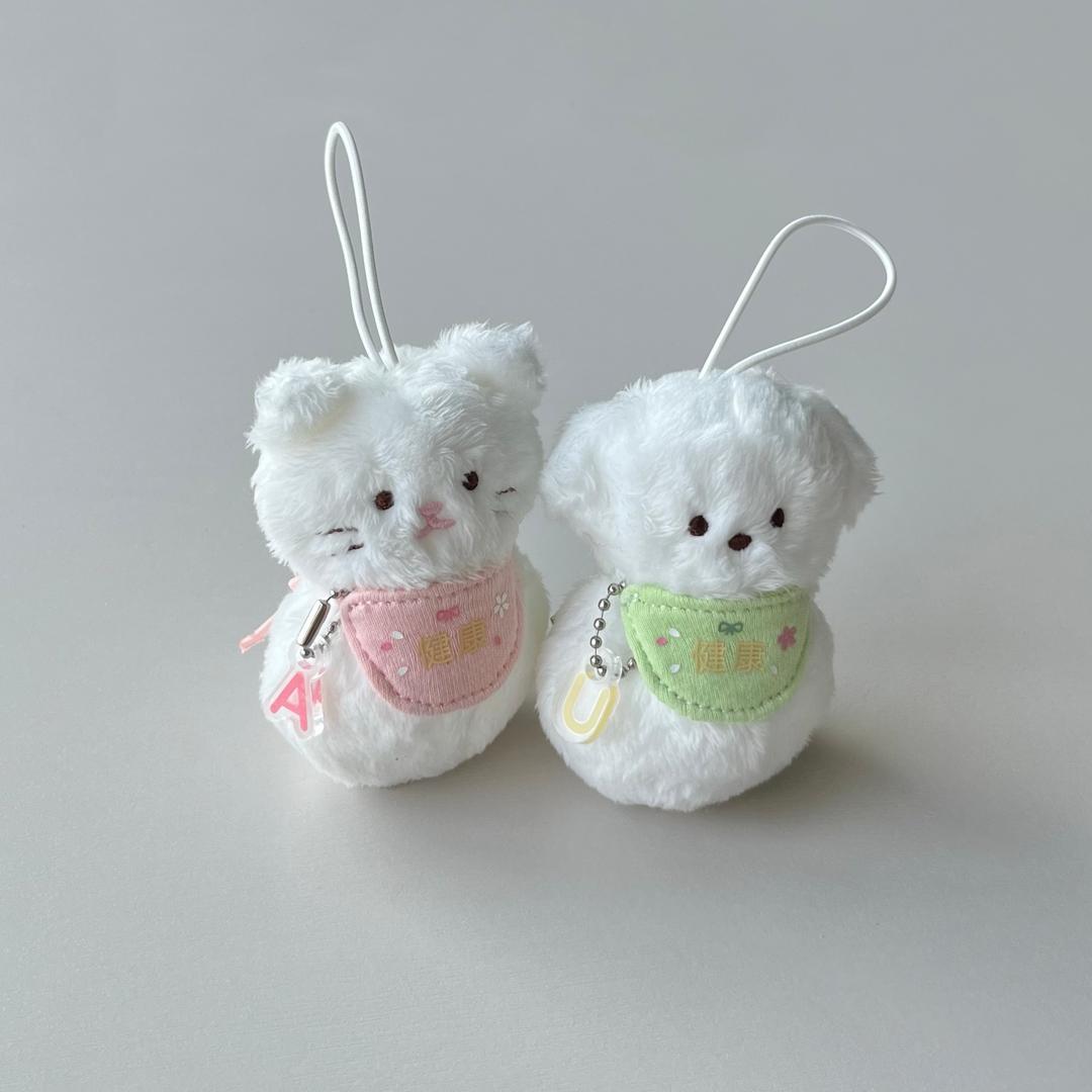 건강 고양이 • 흰둥이