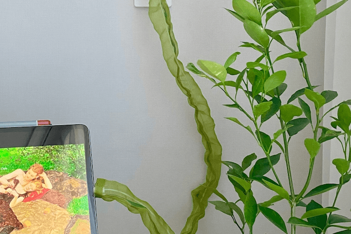 라인웨어 전선 전기선가리개 콘센트꿀템2