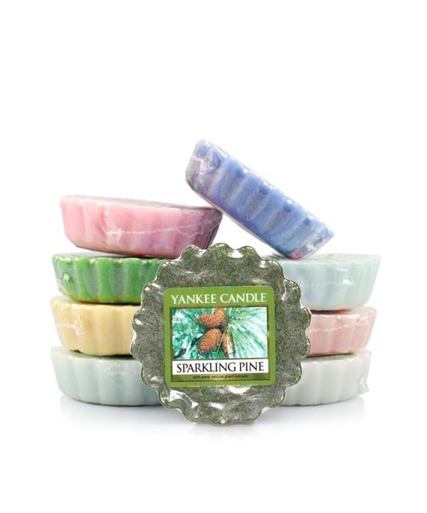 스파클링파인 (Sparkling Pine)