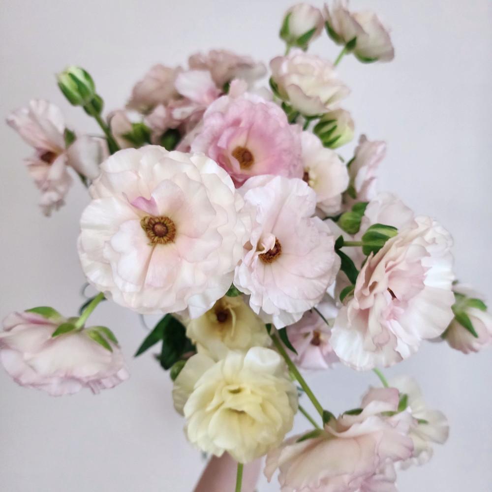 나비의 속삭임 버터플라이 라넌큘러스 계절생화 양재꽃시장  꽃배달싼곳 메종보타닉