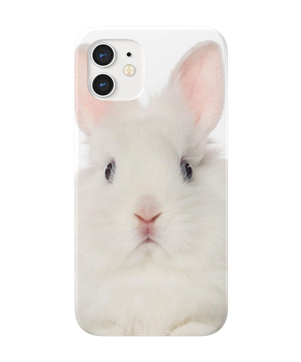 Whtie rabbit