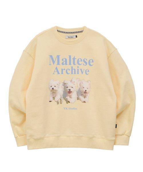 와이케이(WAIKEI)  말티즈 아카이브 맨투맨 라이트옐로우 - 사이즈 & 후기 | 무신사