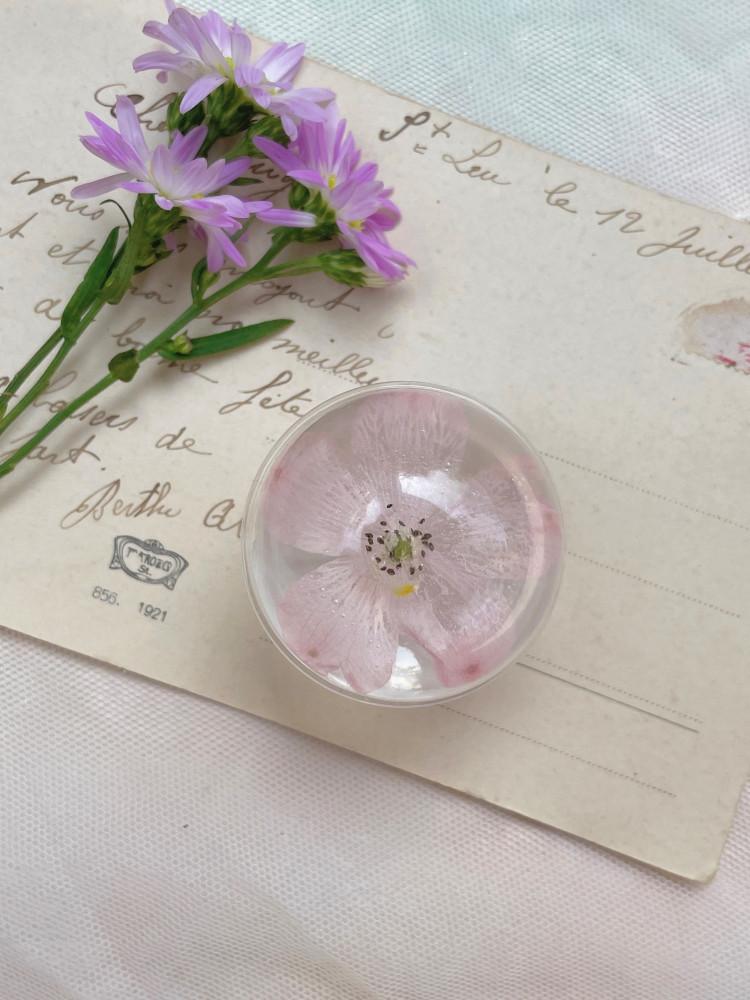 Love delphi (pink ver.) 핑크 델피늄 플라워 반구 그립톡