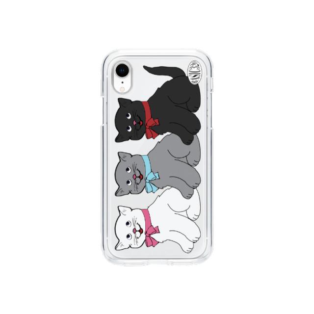320 cats case (jelly hard)