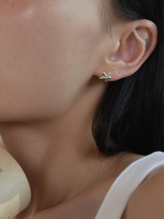 Starfish earring