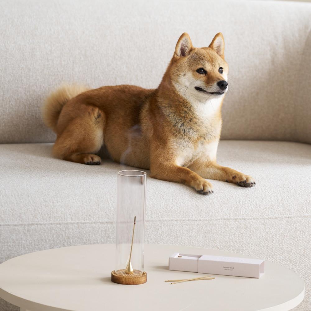 쿠씨 바질 인센스 강아지 고양이 반려동물 인센스 스틱 바잇더바질