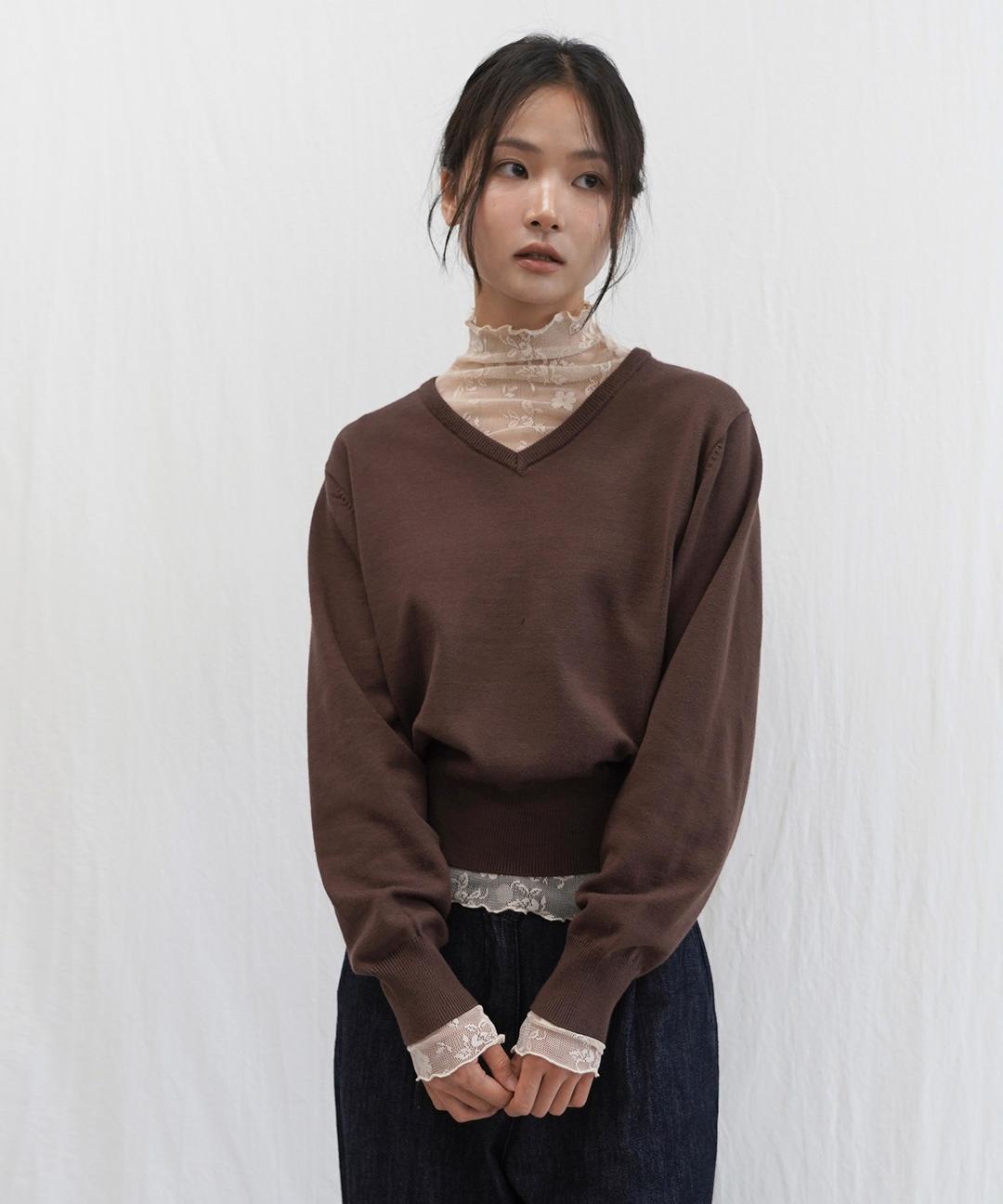 Soft V-neck Knit (Brown)