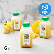 나탈리스 오렌지 파인애플 착즙 주스 (냉동)  250ml, 6개