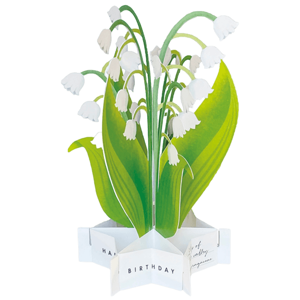 [2023 nov / jpn stuff] 은방울꽃 한 다발에 부치는 마음