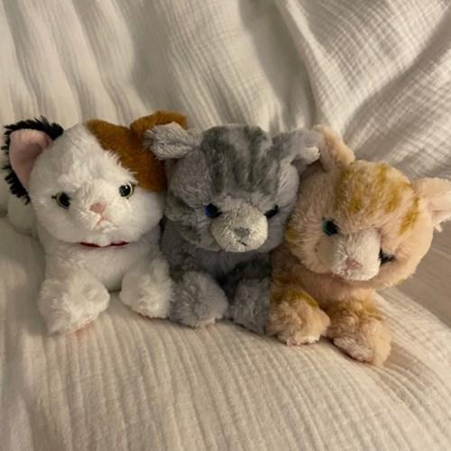 무릎인형★고양이 SS사이즈(히자네꼬)