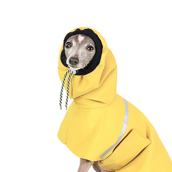 OUTDOOR RAIN COAT [MUSTARD]