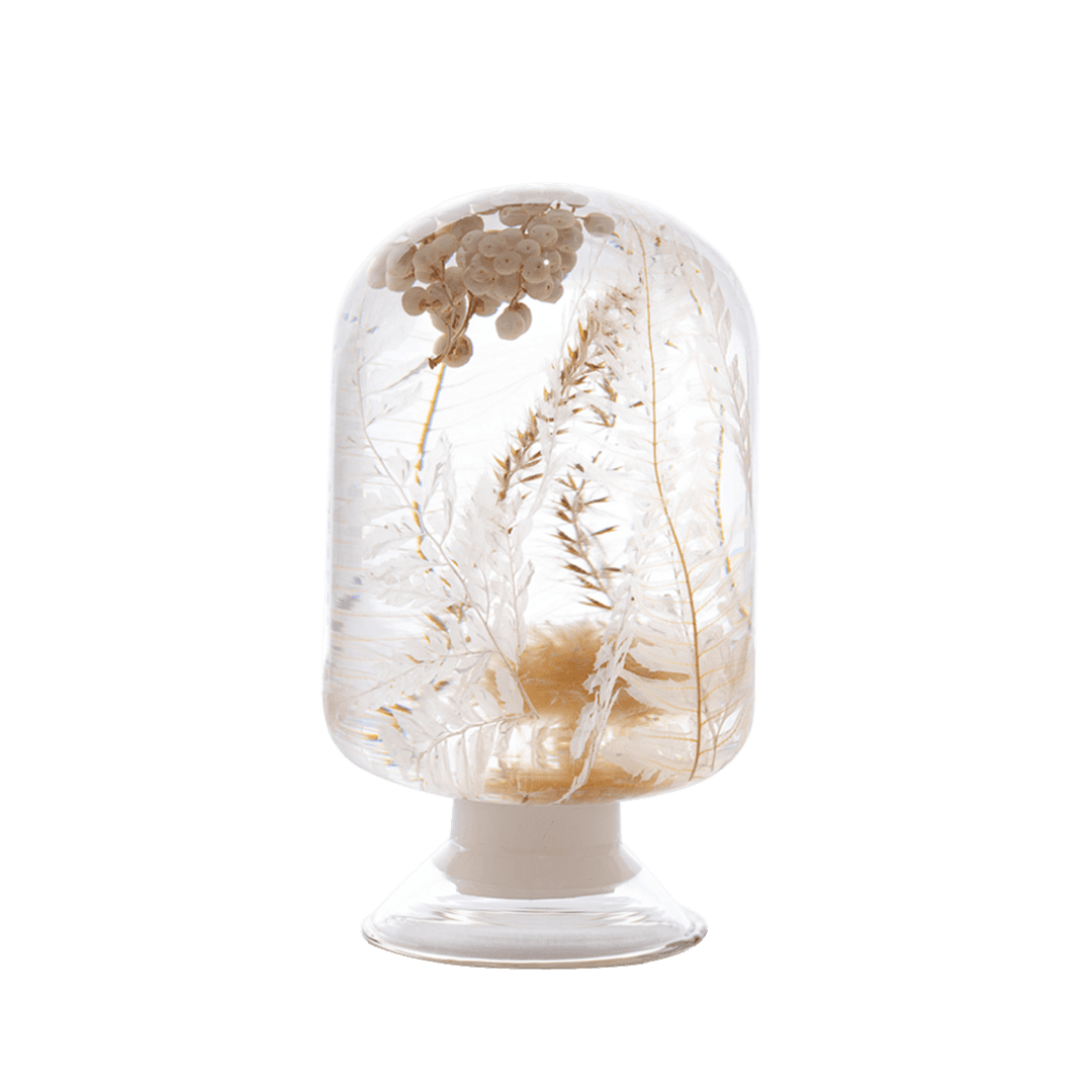 하바리움 - 스노우화이트