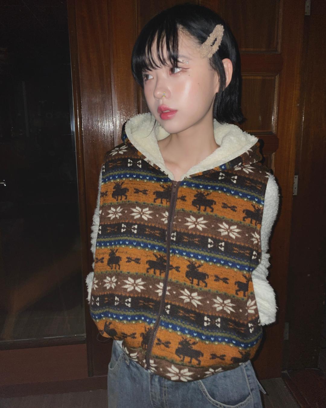 (2color) 츠카 노르딕 누빔 크롭 베스트 후드 집업 (니트 패딩조끼)