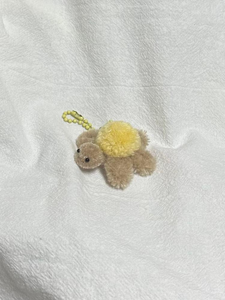 태닝 거북이