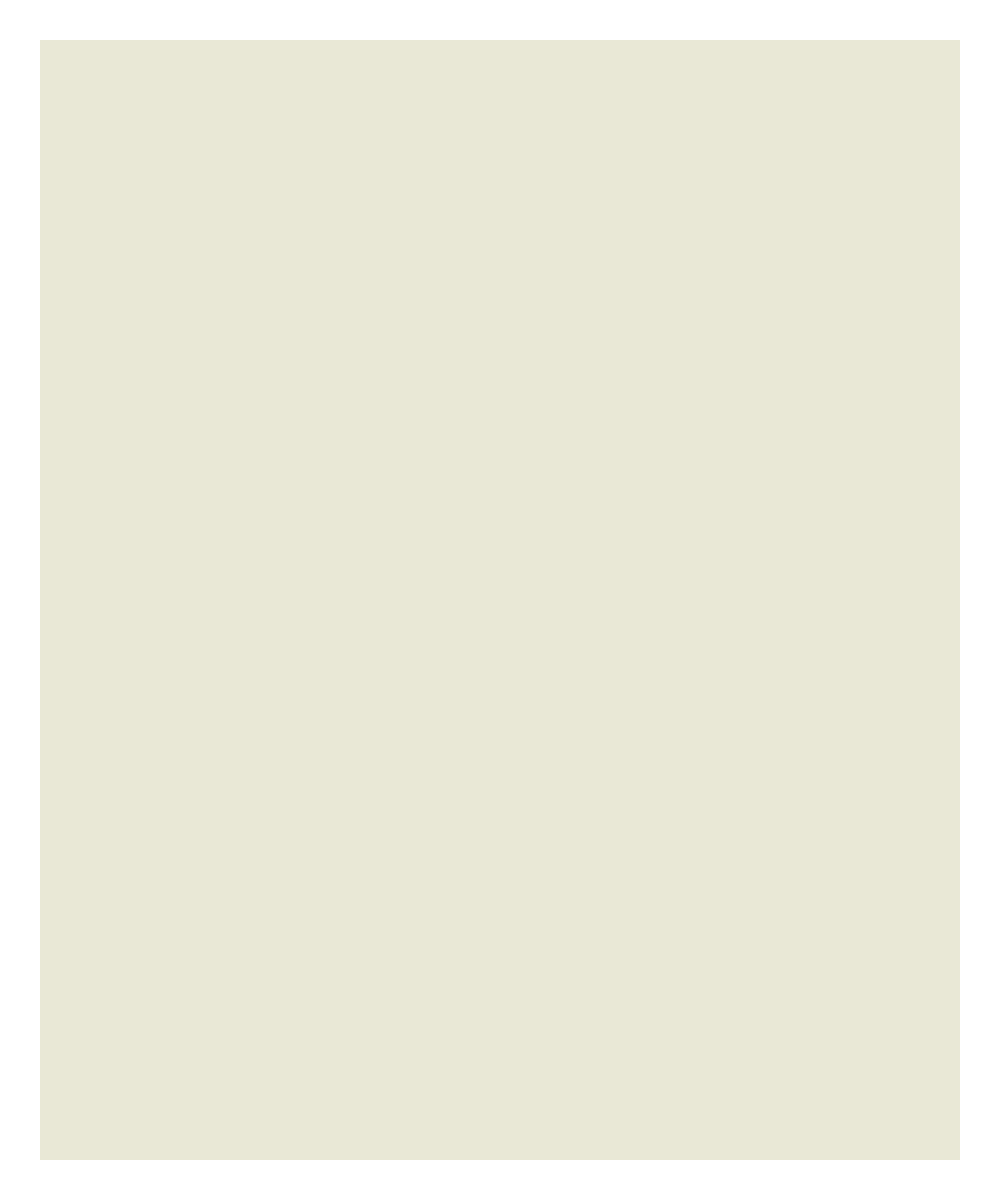 Plain Color-Ivory Grey